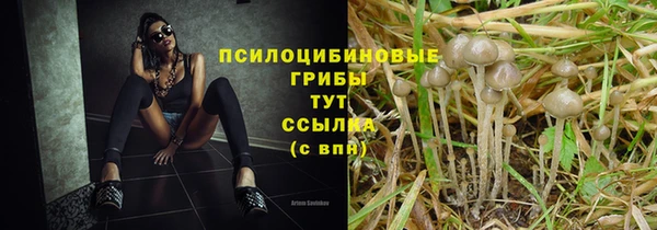 кокаин премиум Дмитриев